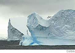 Large icebergs in the Weddell Sea, Antarctica. Winter sea ice 
      around the continent set a record maximum in october 2007
      245 x 174 Pixel
