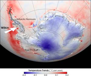 Wilkin - Antarctic Temperature 
      540 x 450 Pixel